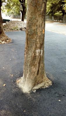 Прикрепленное изображение: кр2.jpg